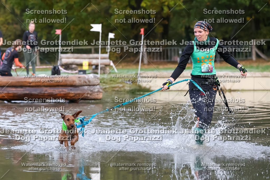 Dog Paparazzi - Strongdog 10-25-6201 | Dog Paparazzi Jeanette Grottendiek Fotografie & Videografie - Realisiert mit Pictrs.com