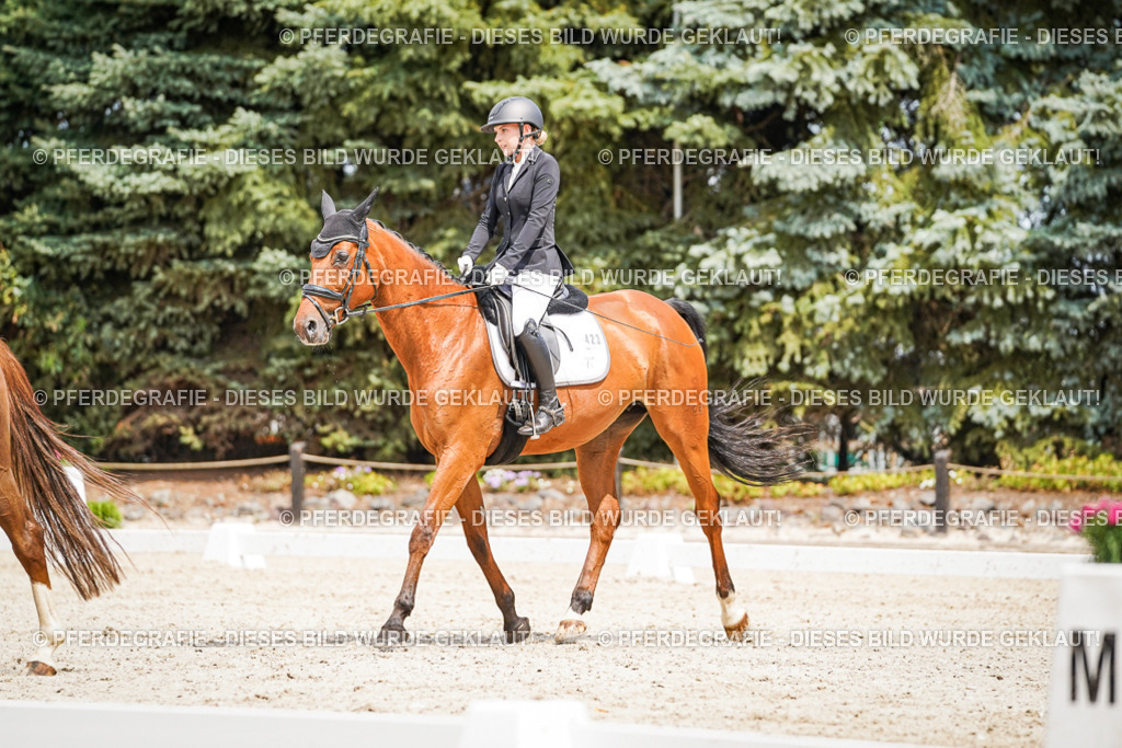 DSC03419 | Pferdegrafie