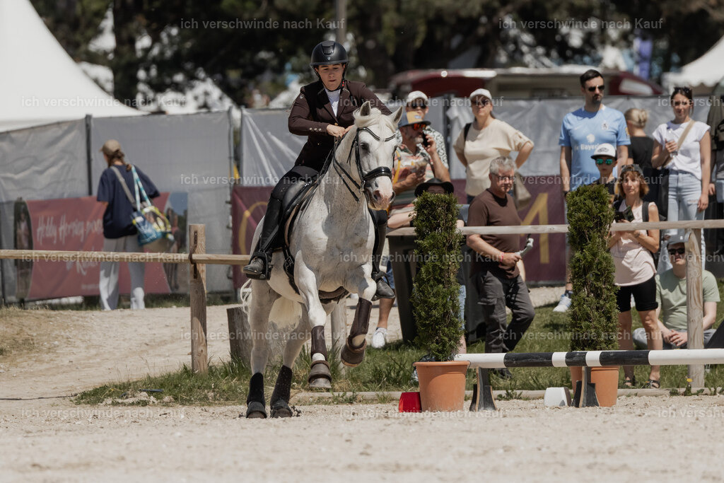 WE_SP_Stoib_318_PI2025_2059 | Pferd International München 2025