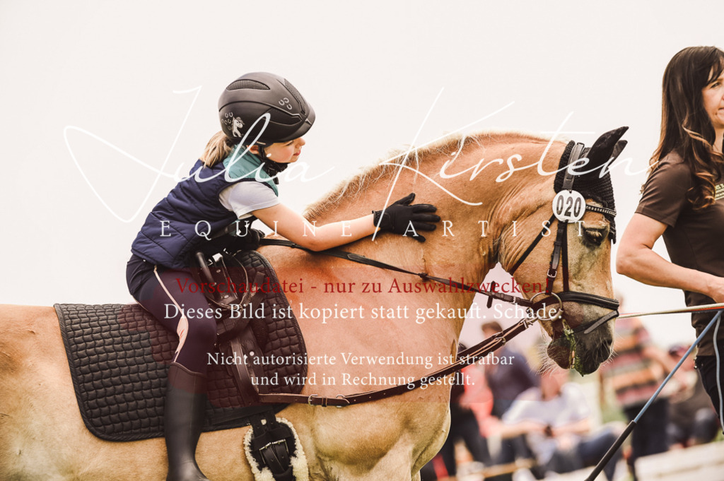 DSC_5347 | Pferde- und Turnierfotografie in Westsachsen. Pferdeportraits, Auftragszeichnungen und intuitive Kunst.