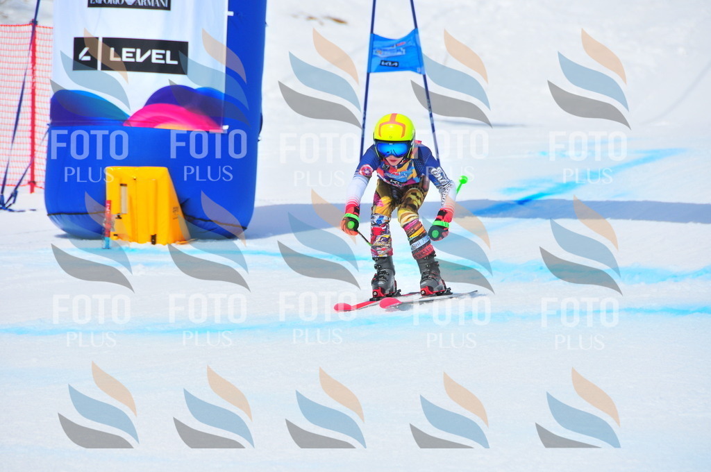 DSC_6733 | holidayphoto