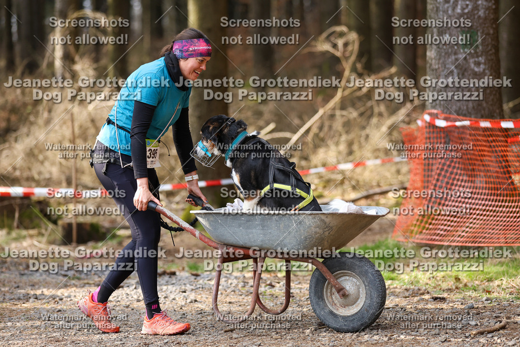 Dog Paparazzi - VCC26-625 | Dog Paparazzi Jeanette Grottendiek Fotografie & Videografie - Realisiert mit Pictrs.com
