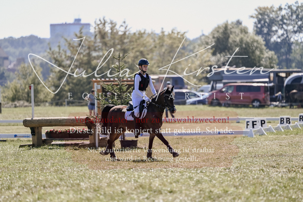 DSC_2928 | Pferde- und Turnierfotografie in Westsachsen. Pferdeportraits, Auftragszeichnungen und intuitive Kunst.