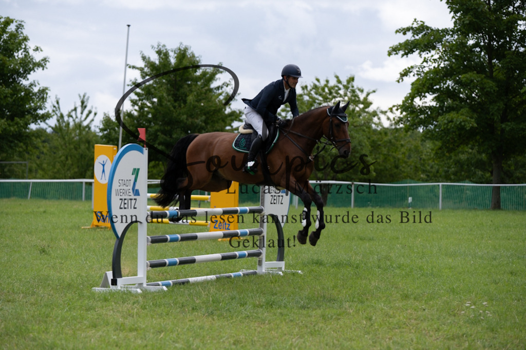 A7V04012 | Pferdefotograf