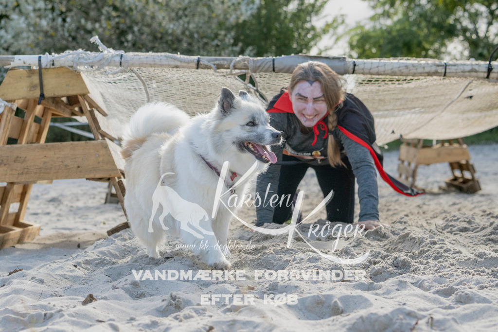 1242_ZZ92716 | kk-dogfotos