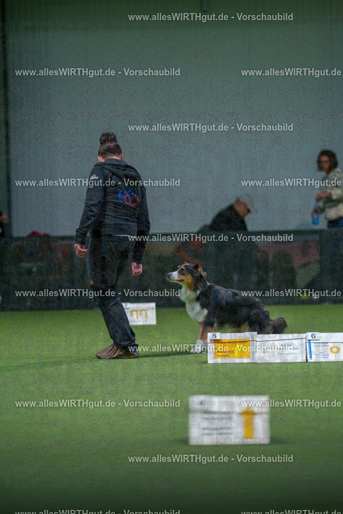 7R506920 | Professionelle Tierfotografie in Mönchengladbach von Daniel Wirth (allesWIRTHgut). Liebevolle & natürliche Bilder von Hunden & Katzen für unvergessliche Erinnerungen.