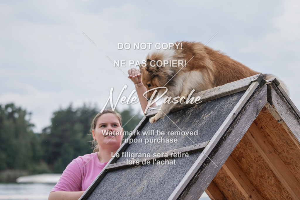 nelerasche_BuHu2026_So1530-Ende_154 | nelerasche