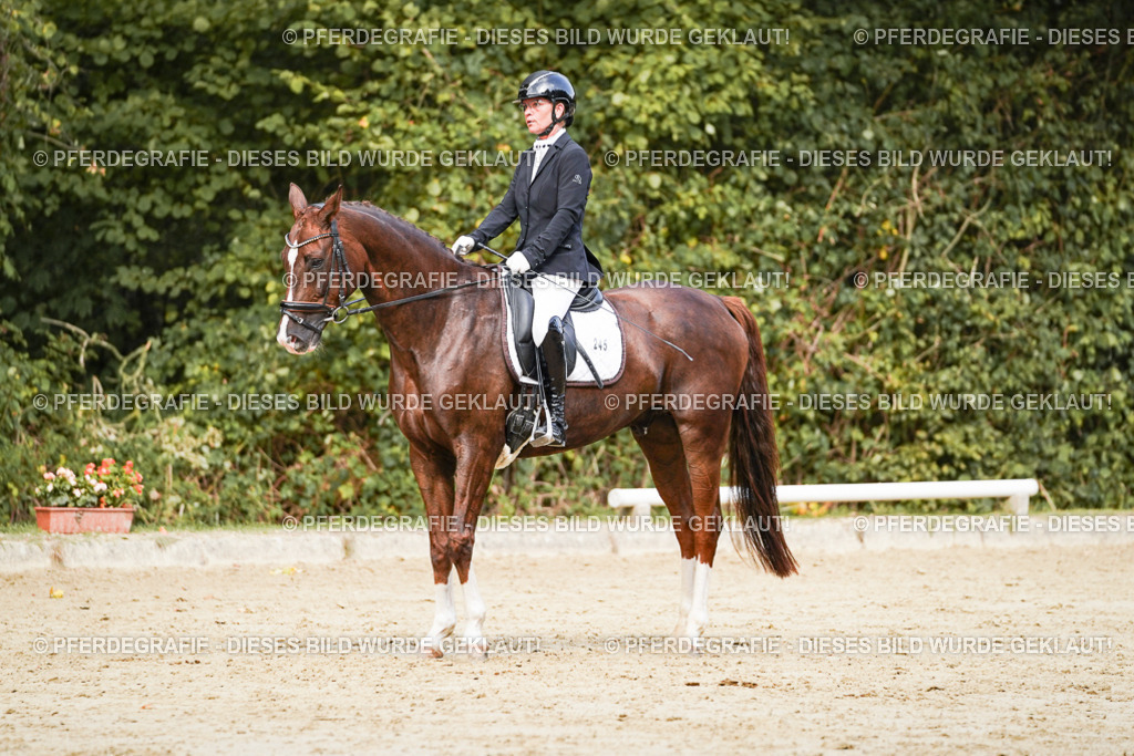 DSC02577 | Pferdegrafie