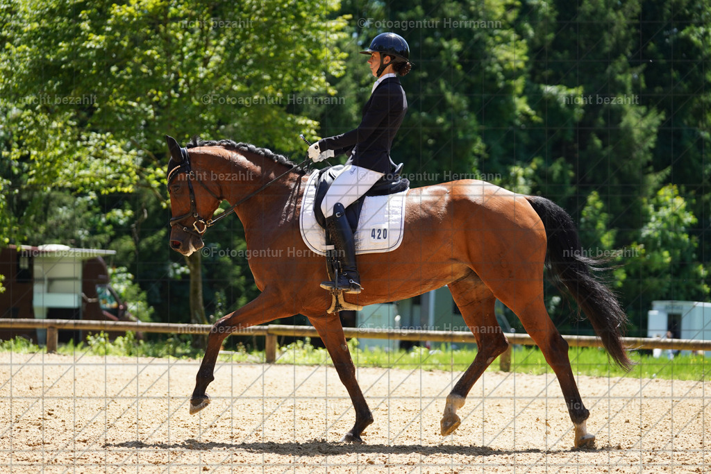 20240705-FAH03965 | Turnierbilder von Grafing, Reitsportbilder, Turnierfotos, Turnierfotografen Bayern, Pferdefotograf, Fotoagentur Herrmann