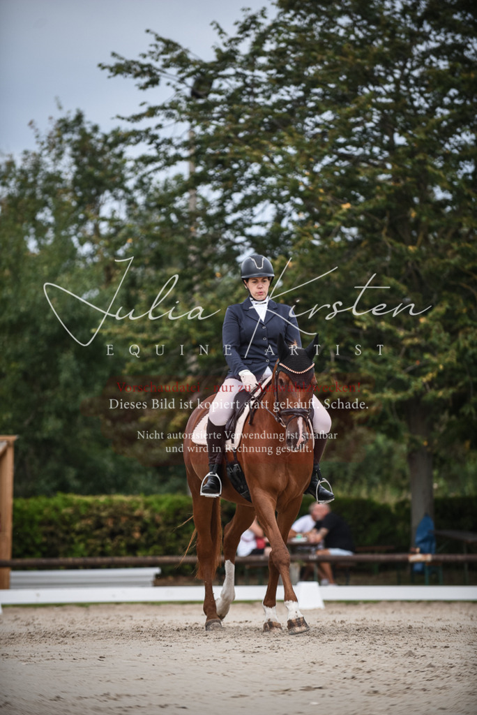 DSC_8347 | Pferde- und Turnierfotografie in Westsachsen. Pferdeportraits, Auftragszeichnungen und intuitive Kunst.