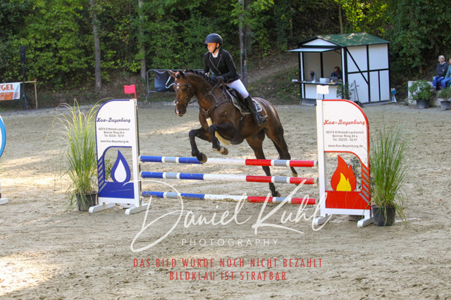 DKP42815 | Deine Turnierfotos vom Reitturnier online kaufen: Dressur, Springen & Siegerehrung. Professionelle Pferdefotografie aus dem Rheinland – als Download & Print.Alternative: Turnierfotograf für den Pferdesport: Finde deine Fotos von Dressur- und Springturnier