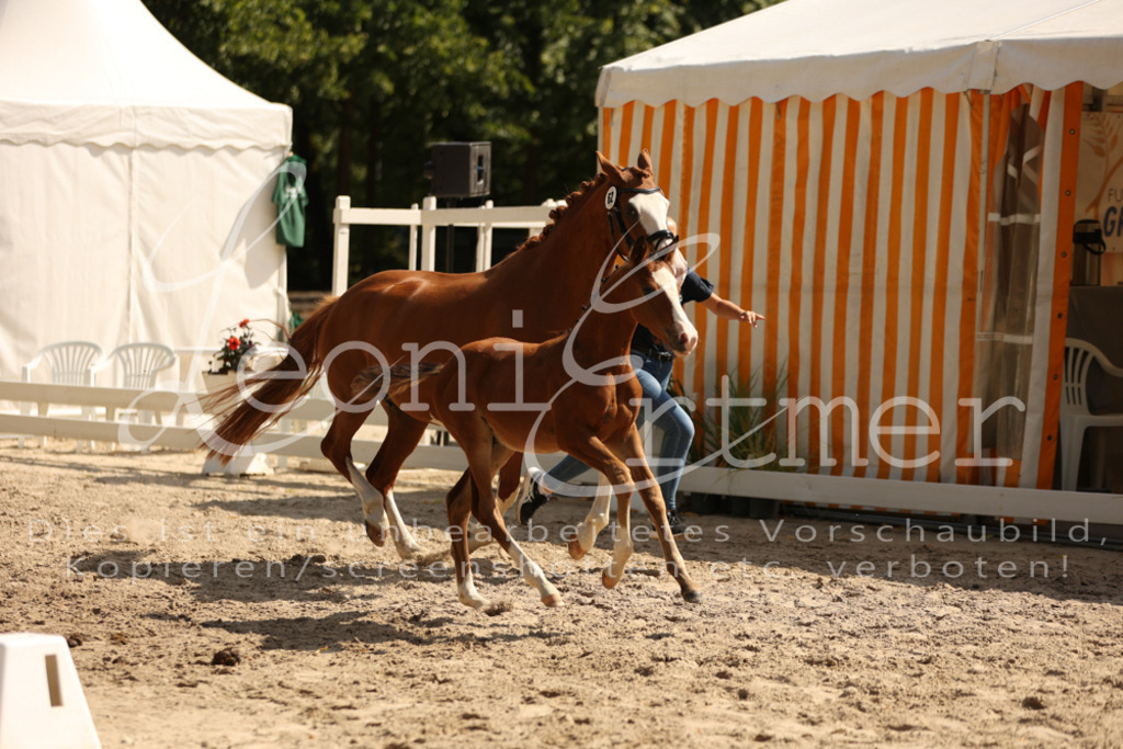 08.DoRPS00076 | Leoni Ertmer Photography - Realisiert mit Pictrs.com