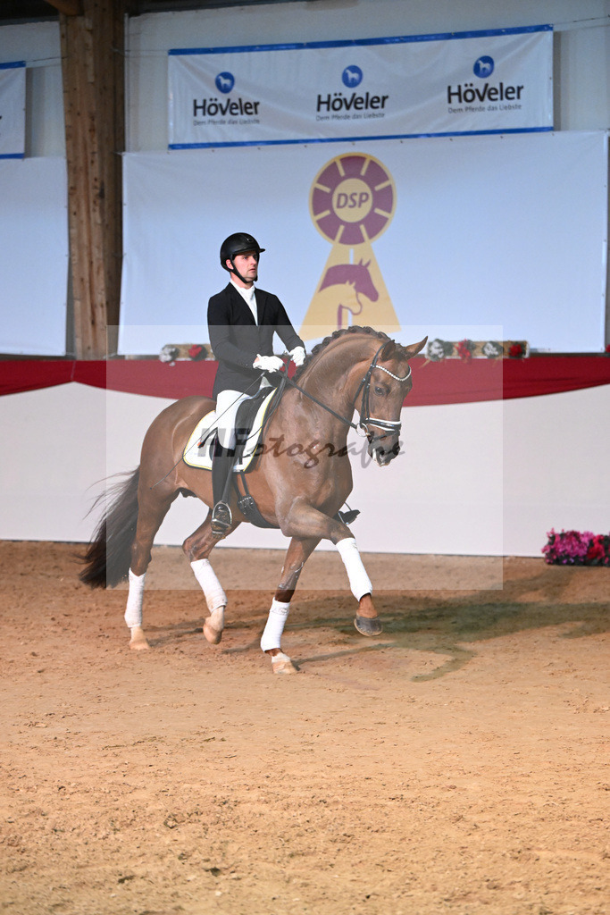 Feliciano_Wadenspanner_1234818 | hf-fotografie - Realisiert mit Pictrs.com