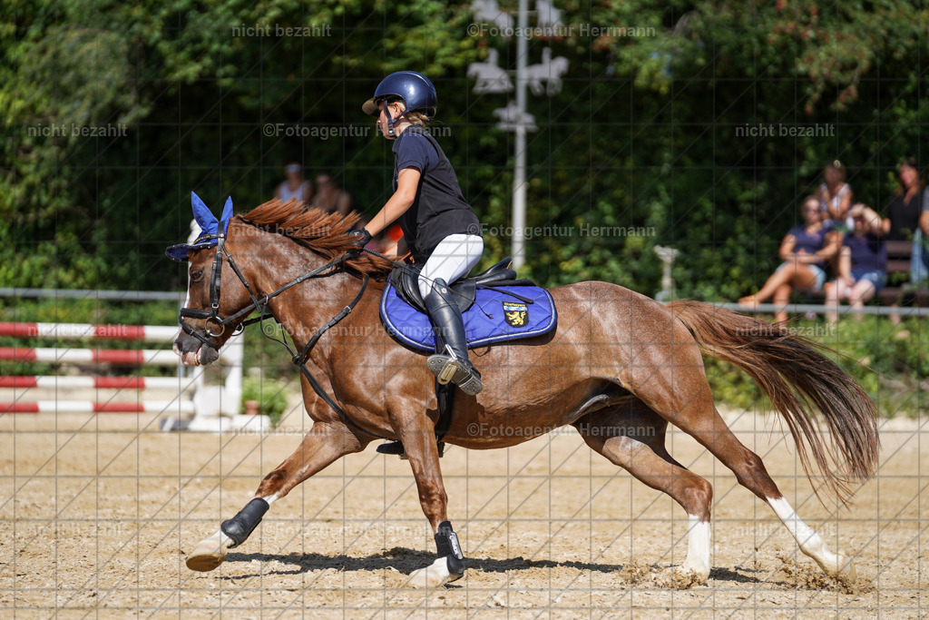 20240824-FAH08229 | Thierhaupten 2024, Bayerisches Landesponyturnier, Turnierbilder, Ponybilder, Turnierfotografen Bayern, Fotoagentur Herrmann