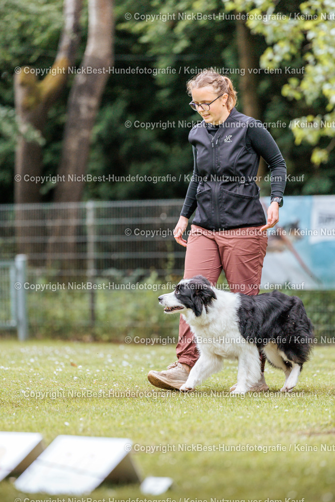 RO-Blumenthal-2026-Nickbest-Hundefotografie-2269 | Dein Hund! Dein Moment! Deine Erinnerungen! Hundefotografie in Bremen Blumenthal. Ich fange die besonderen Momente deines Vierbeiners ein – ob Indoor mit Blitzanlage oder in der freien Natur. Sicher dir dein Moment und dein Termin für eure Erinnerungen.
