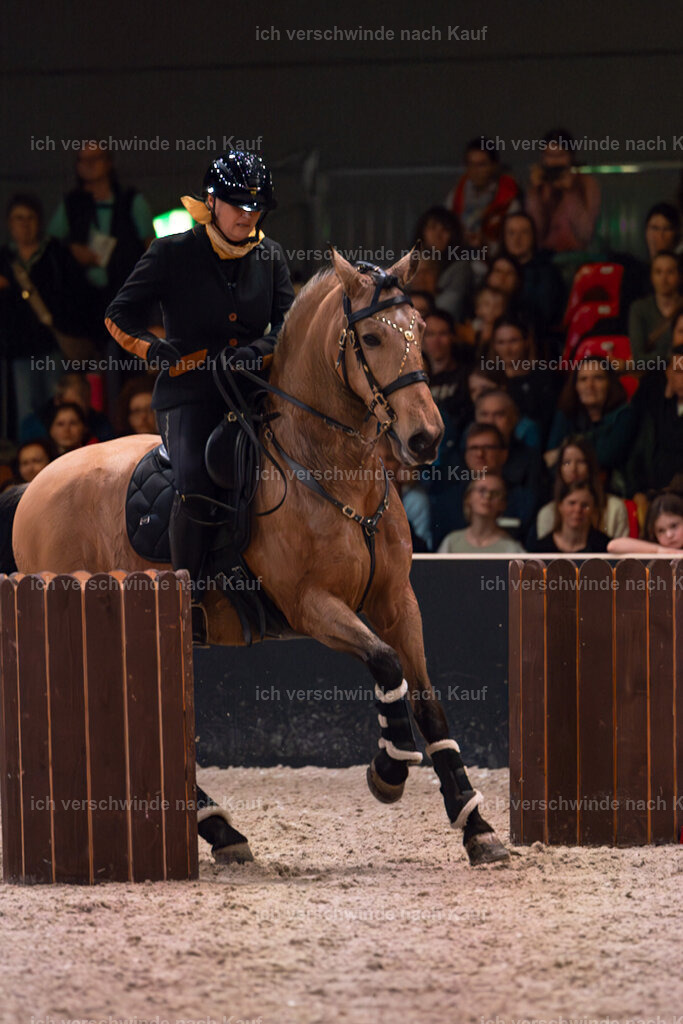 JoseraCup-222 | working equitationturnier fotograf videograf stoibphotography marixx film working equitation deutschland reitsport turnierfotografie eventfotografie equestrian events