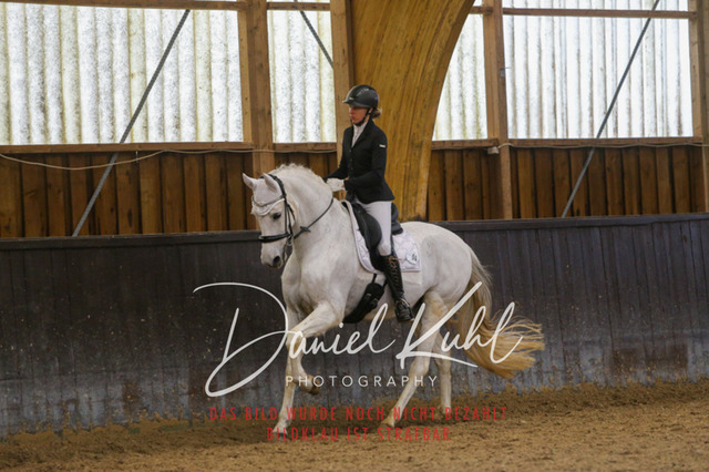 IMG_0656 | Turniersportfotografie; Pferdefotografie; Dressurfotografie
