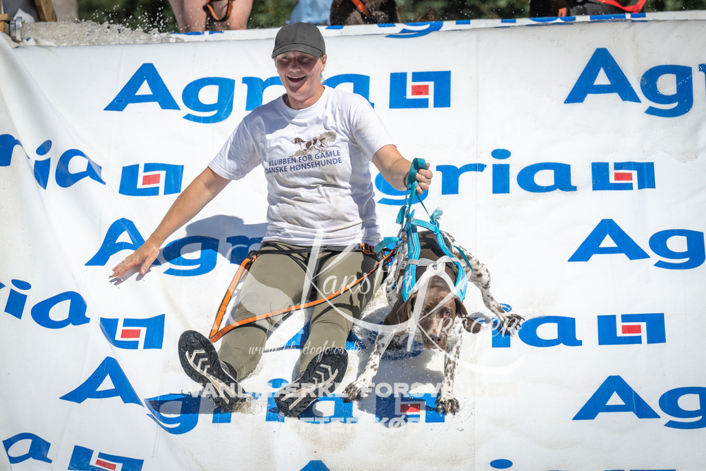 1313_ZZ98954 | kk-dogfotos