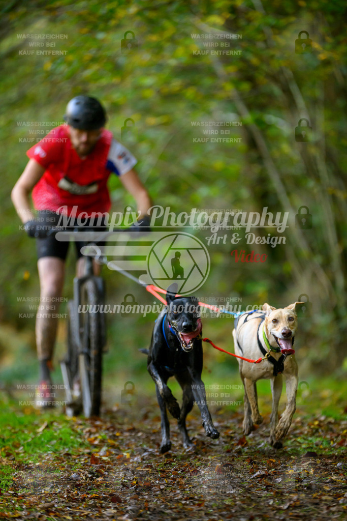 MompixPhotography_20TSB_E1_DS2-9 | PayLife