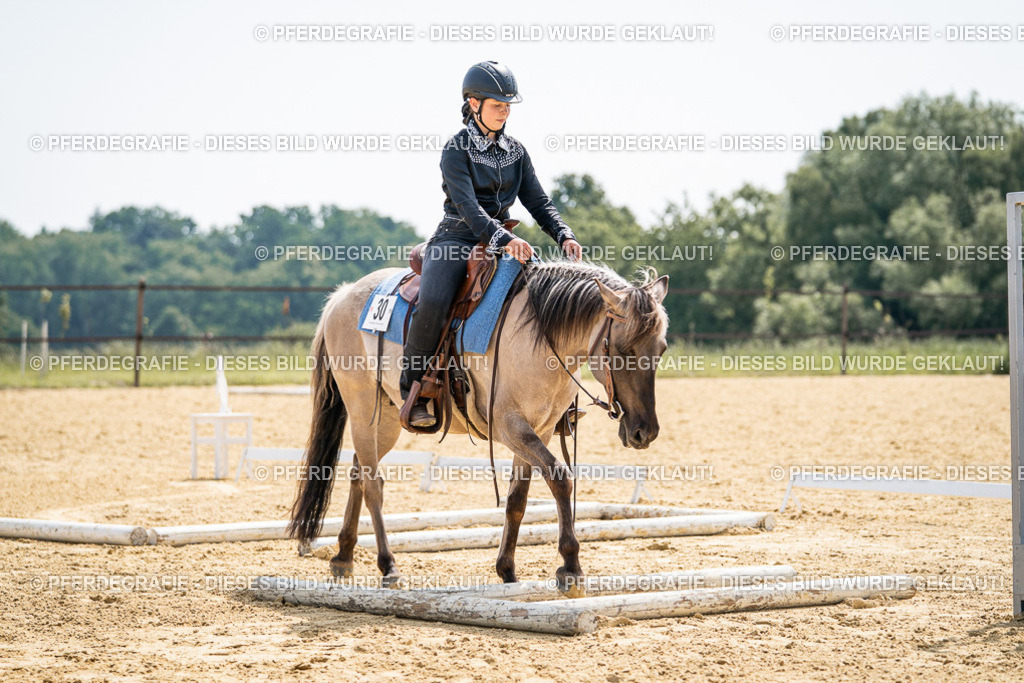 DSC09955 | Pferdegrafie