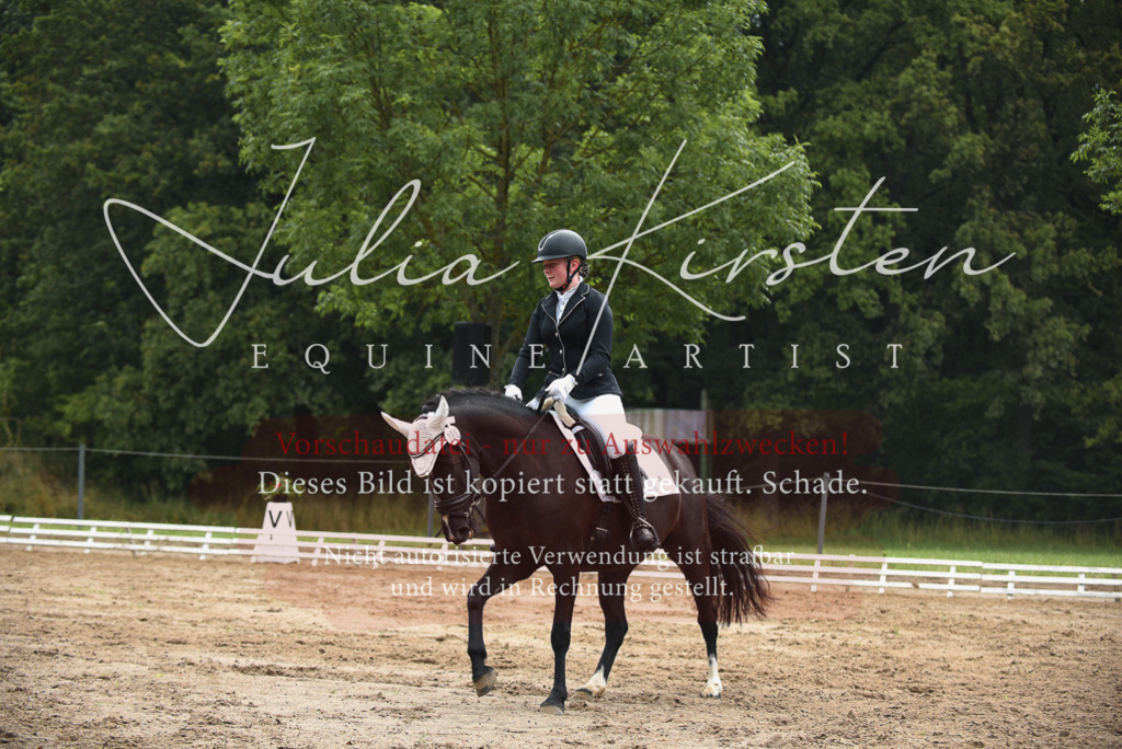 DSC_0003 | Pferde- und Turnierfotografie in Westsachsen. Pferdeportraits, Auftragszeichnungen und intuitive Kunst.