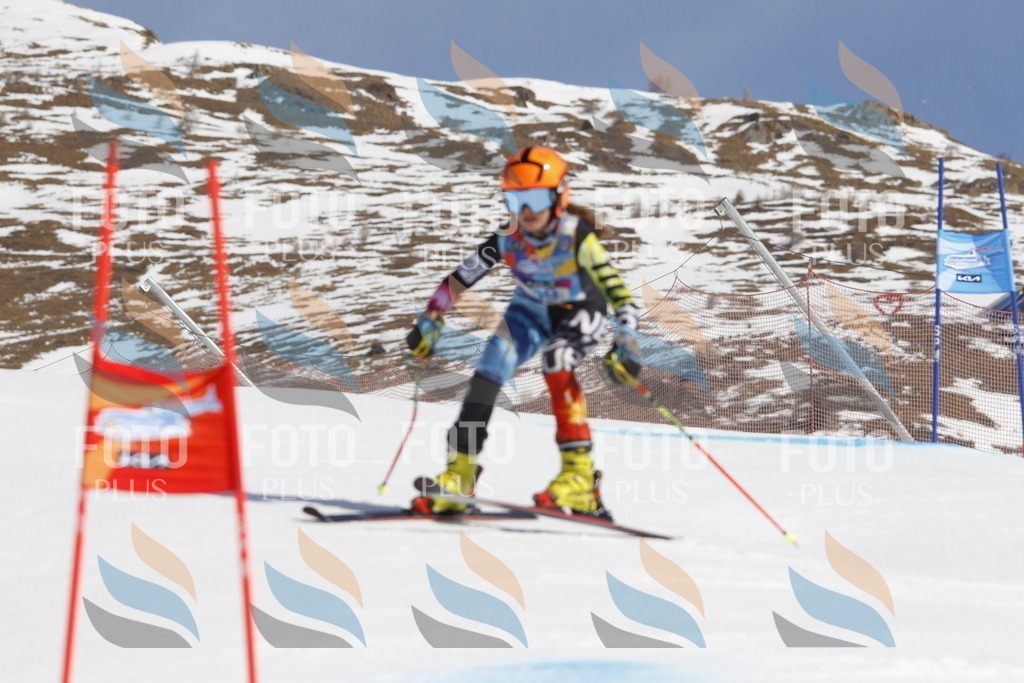 _U3G0293 | holidayphoto