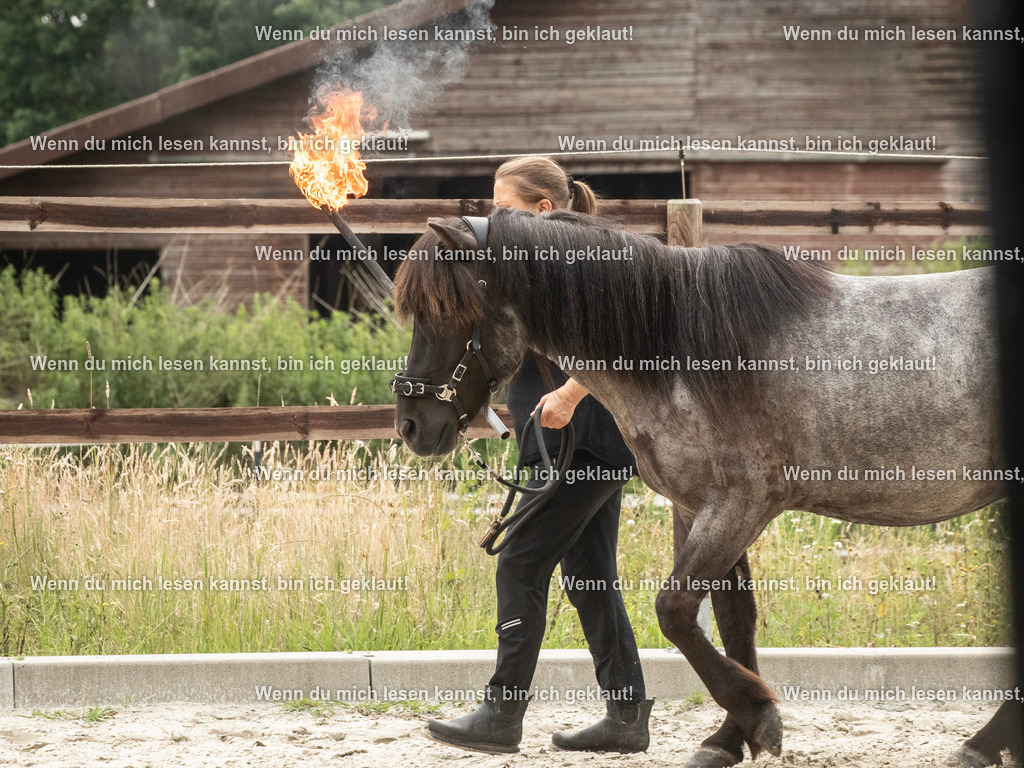 598A7337 | photographylinaismer - Realisiert mit Pictrs.com