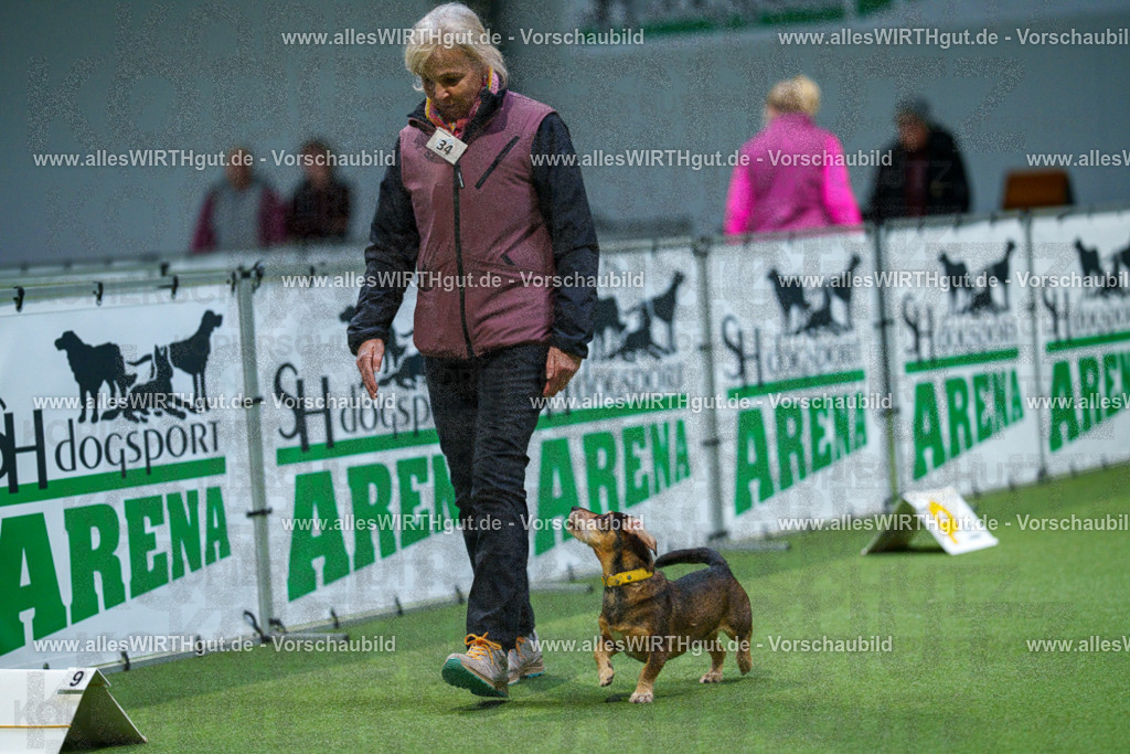 7R505879 | Professionelle Tierfotografie in Mönchengladbach von Daniel Wirth (allesWIRTHgut). Liebevolle & natürliche Bilder von Hunden & Katzen für unvergessliche Erinnerungen.