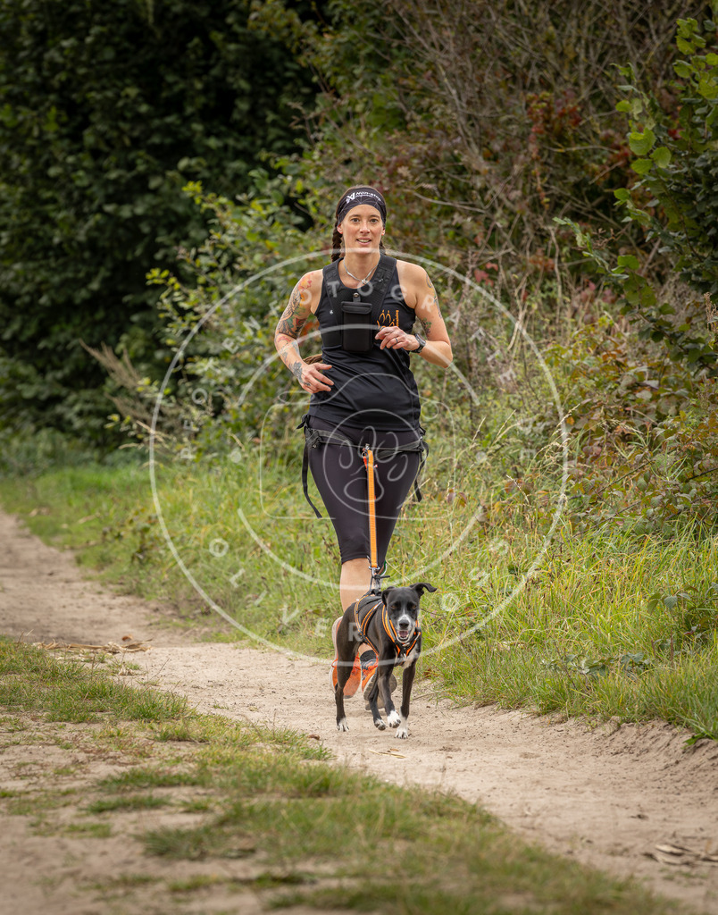 Pfotenfotografie_DV3A8136 | Hundefotografie, Tierfotograf, Pfotenfotografie, Fotoshooting Hund, Hunde Portrait, Hundesport, Hundeportraits, Heideshooting, Hunde, Sportfotograf, Hundefotograf, Turnierhundsport, THS,  - Realisiert mit Pictrs.com