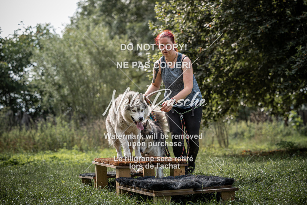 nelerasche_SoLauf_258 | nelerasche