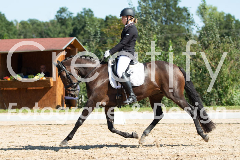 IMG_4467 | Creatify Fotografie