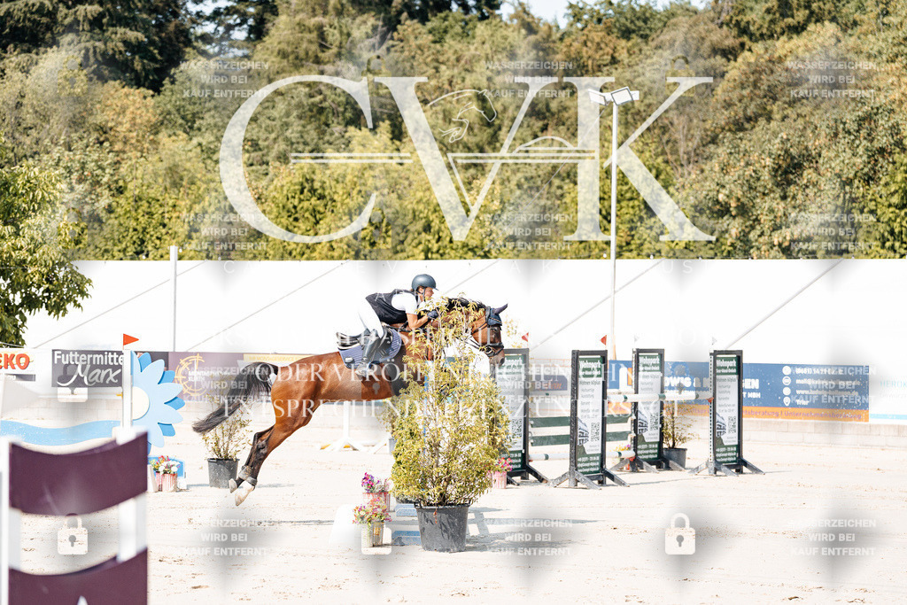 CK901236 | Turnierfotografie Pferdefotografie Trier Rheinland-Pfalz Pferdesport Reitsport Tierfotografie Sportfotografie Pferdevideo Pferdevideografie Equestrianvideography equestrianphotography  - Realisiert mit Pictrs.com