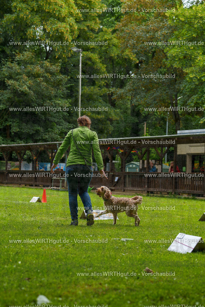 @allesWIRTHgut_Tierfotografie - www.allesWIRTHgut.de - 092419-7R507063 | Professionelle Tierfotografie in Mönchengladbach von Daniel Wirth (allesWIRTHgut). Liebevolle & natürliche Bilder von Hunden & Katzen für unvergessliche Erinnerungen.