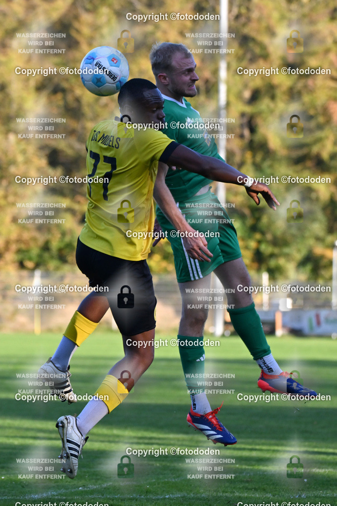 DSC_3594b | fotododen.de präsentiert ein umfangreiches Sportfoto Archiv mit Aufnahmen aus verschiedenen Sportarten im Raum Ostfriesland.