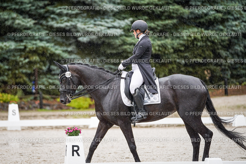 DSC08389 | Pferdegrafie