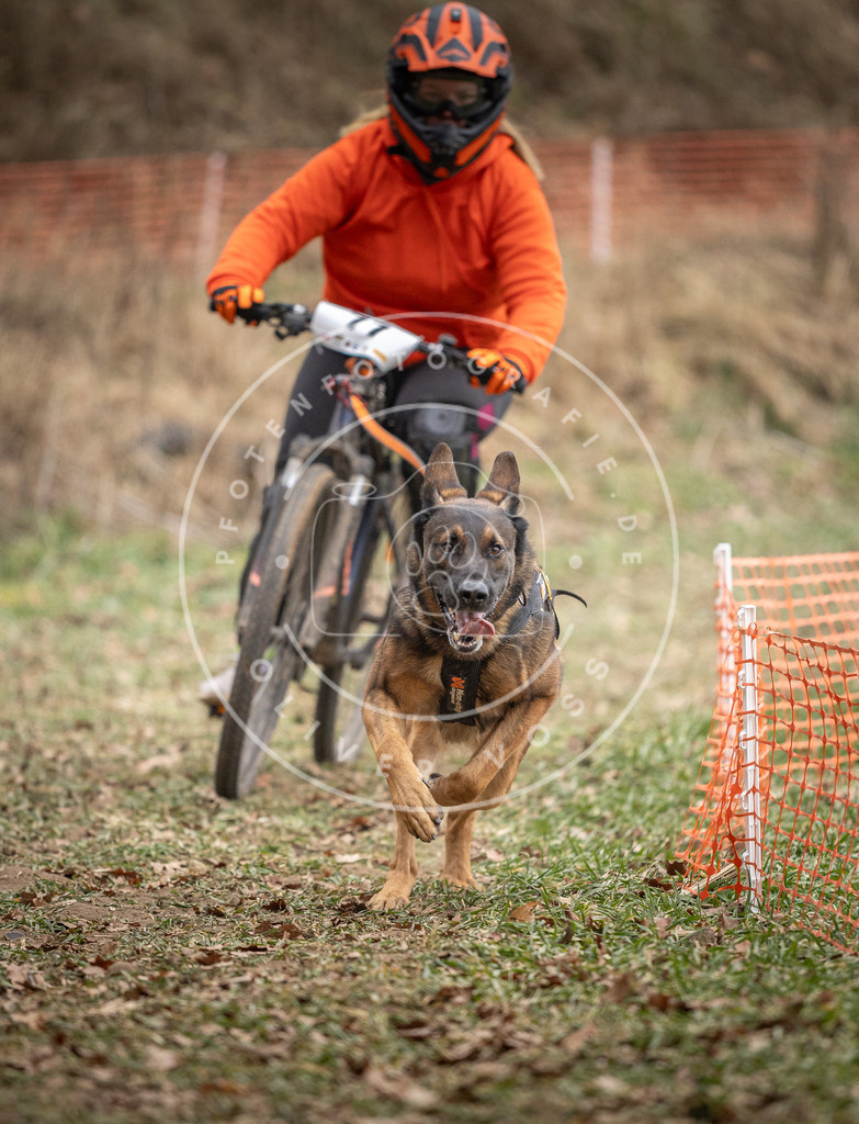 Pfotenfotografie_DV3A5405 | Hundefotografie, Tierfotograf, Pfotenfotografie, Fotoshooting Hund, Hunde Portrait, Hundesport, Hundeportraits, Heideshooting, Hunde, Sportfotograf, Hundefotograf, Turnierhundsport, THS,  - Realisiert mit Pictrs.com