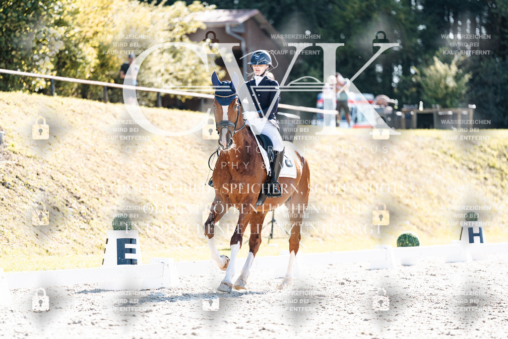 CK905524 | Turnierfotografie Pferdefotografie Trier Rheinland-Pfalz Pferdesport Reitsport Tierfotografie Sportfotografie Pferdevideo Pferdevideografie Equestrianvideography equestrianphotography  - Realisiert mit Pictrs.com