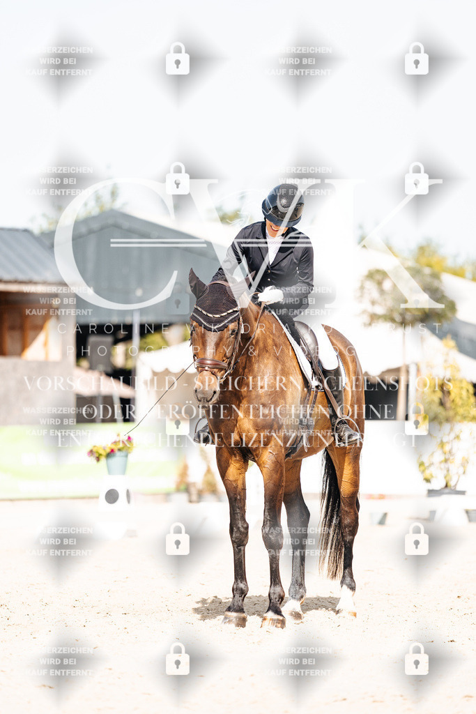 CK905546 | Turnierfotografie Pferdefotografie Trier Rheinland-Pfalz Pferdesport Reitsport Tierfotografie Sportfotografie Pferdevideo Pferdevideografie Equestrianvideography equestrianphotography  - Realisiert mit Pictrs.com