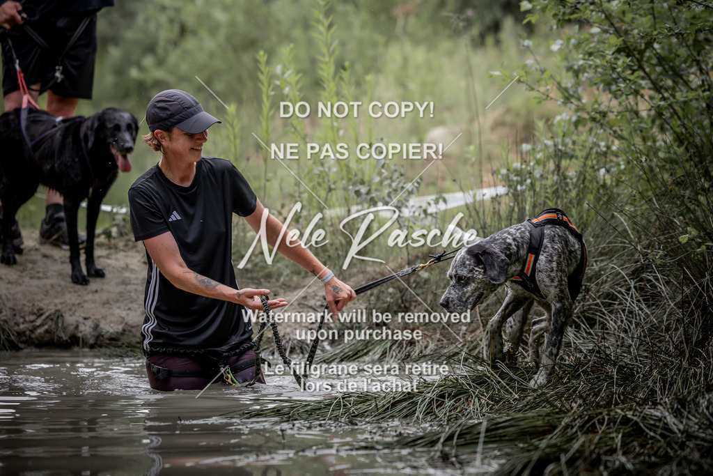 nelerasche_so0800-0930_273 | nelerasche