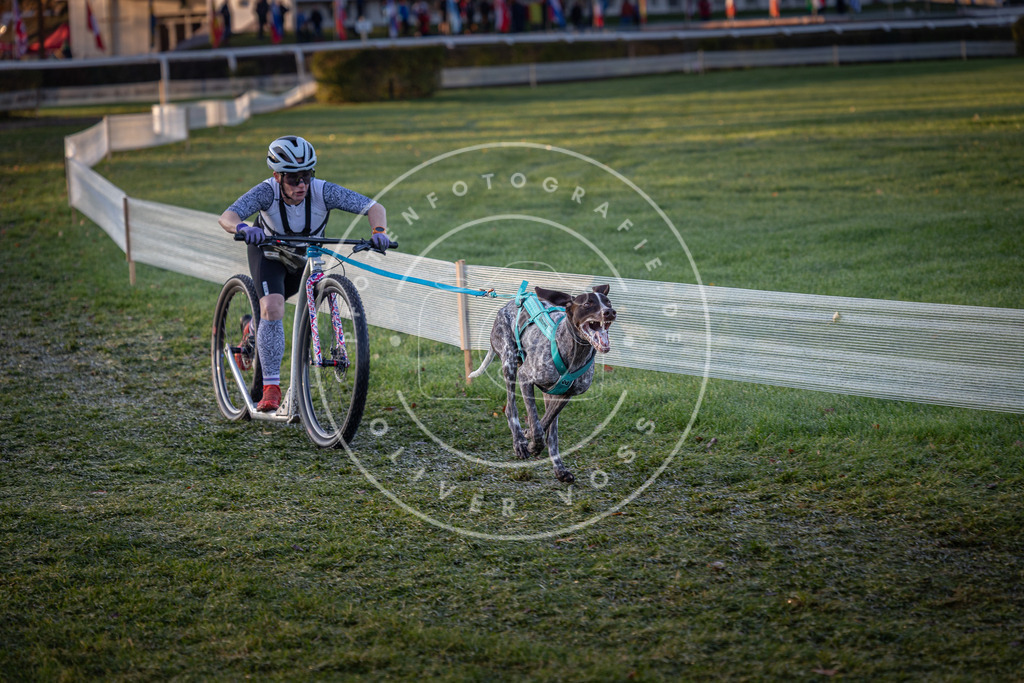 CaniXpix_0L8A1769 | Hundefotografie, Tierfotograf, Pfotenfotografie, Fotoshooting Hund, Hunde Portrait, Hundesport, Hundeportraits, Heideshooting, Hunde, Sportfotograf, Hundefotograf, Turnierhundsport, THS,  - Realisiert mit Pictrs.com