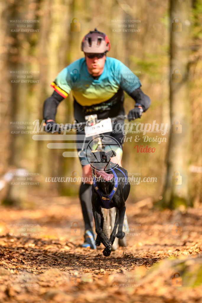 MompixPhotography_Habay2025_SA_SCO-14 | PayLife