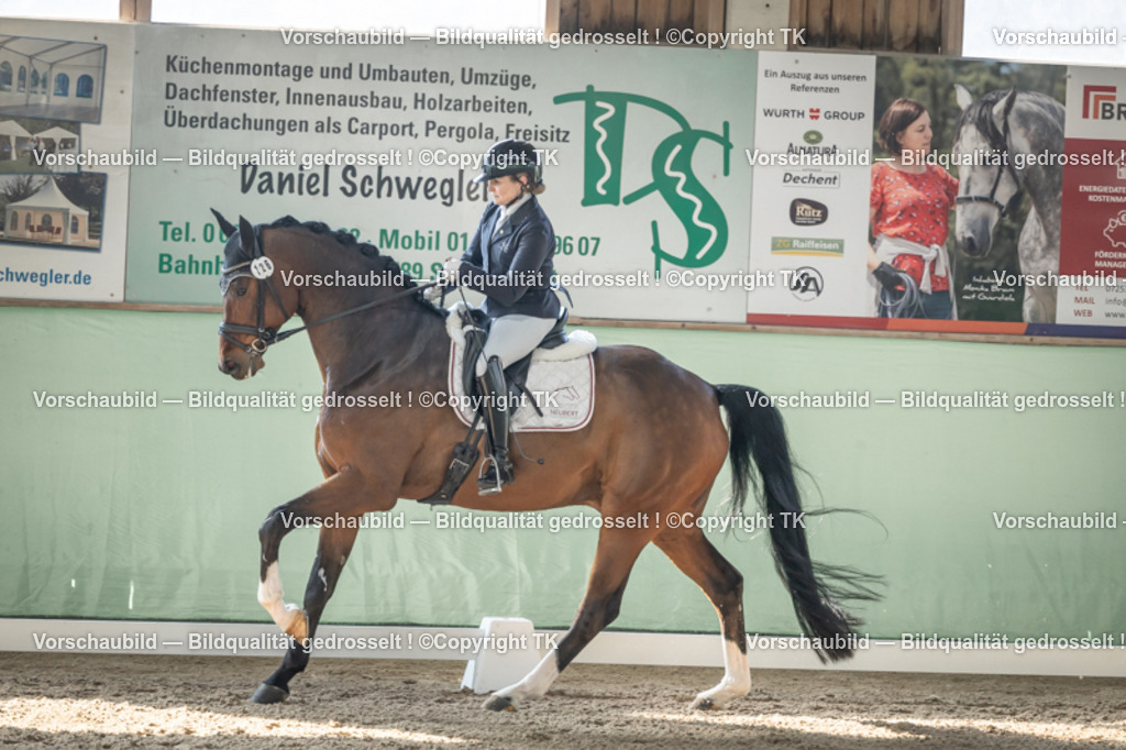 _D5A0797 | Emotionale Pferde- & People-Fotografie rund um Heidelberg, Leimen & Umgebung. Natürliche Fotos von Pferd, Mensch & Familie. Jetzt Termin sichern!