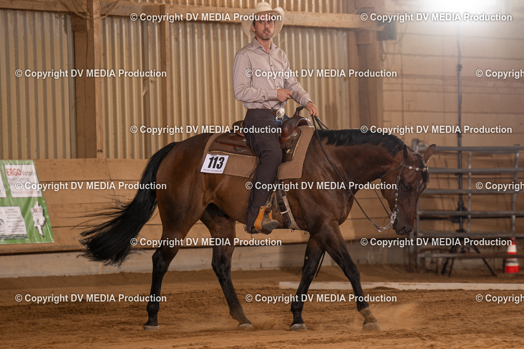 NID00435 | dv-media-shop - Realisiert mit Pictrs.com