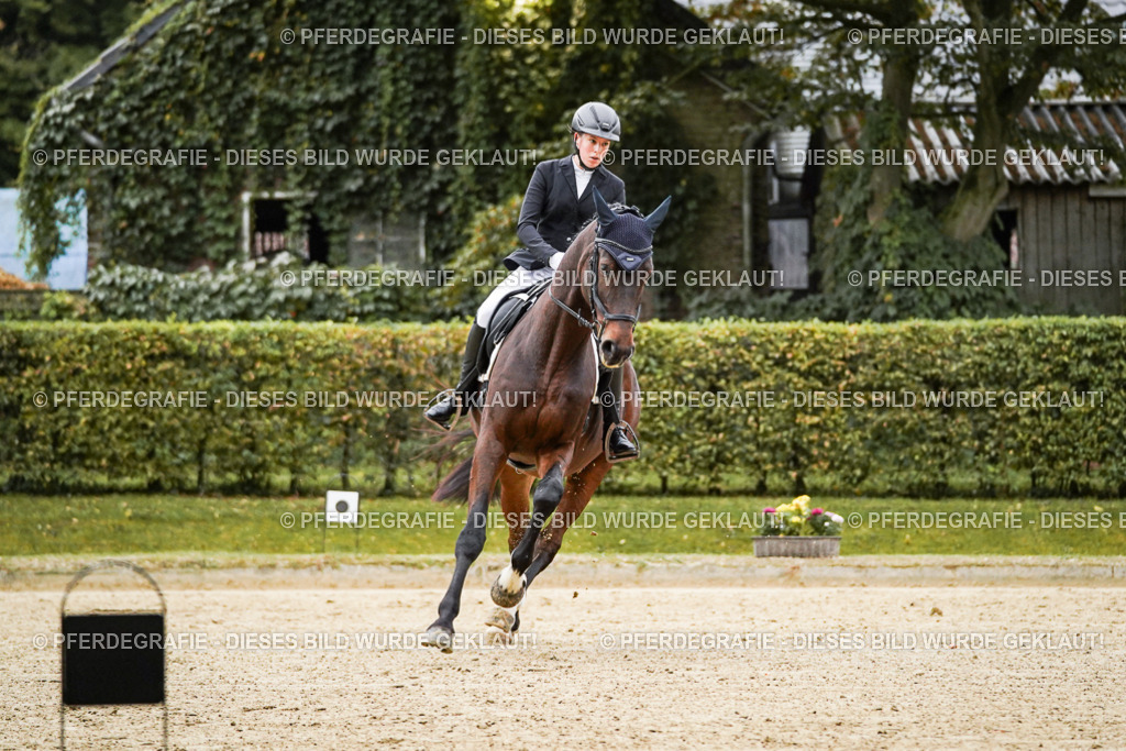 DSC06429 | Pferdegrafie