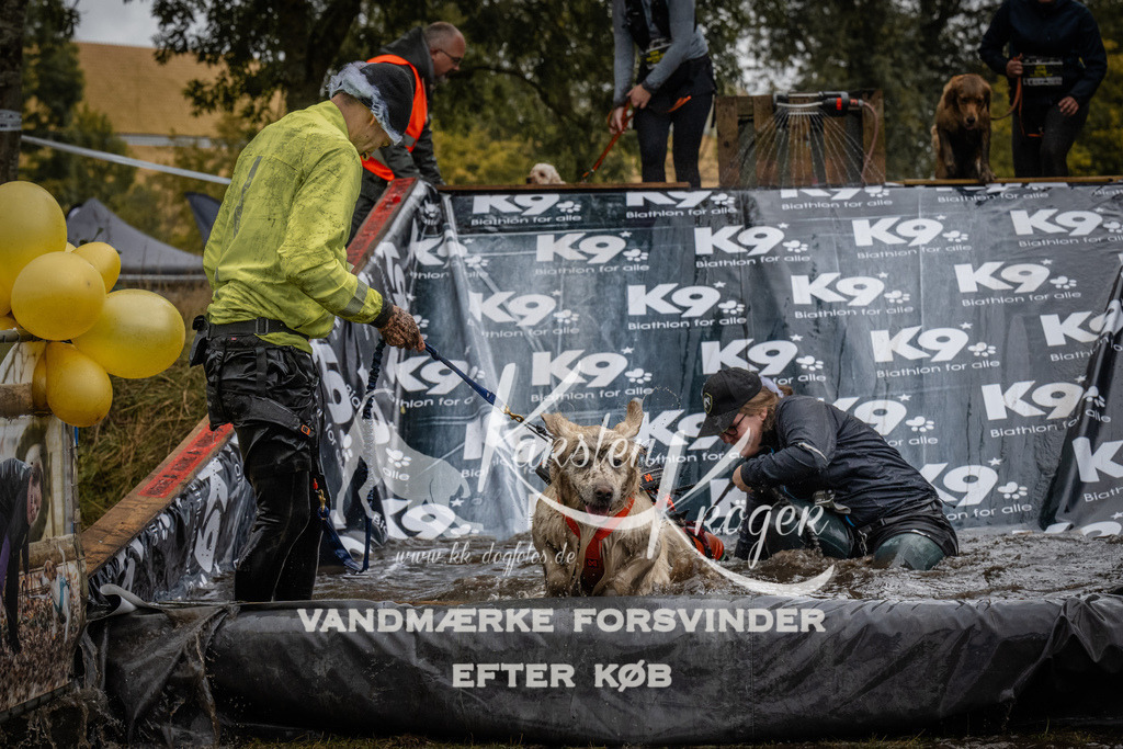 1202_ZZ94128 | kk-dogfotos