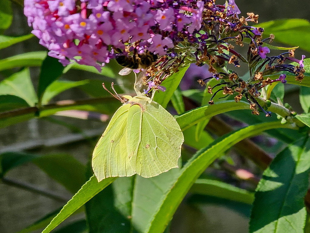 PSX_20230910_001018 | mtkfoto_ - Realisiert mit Pictrs.com