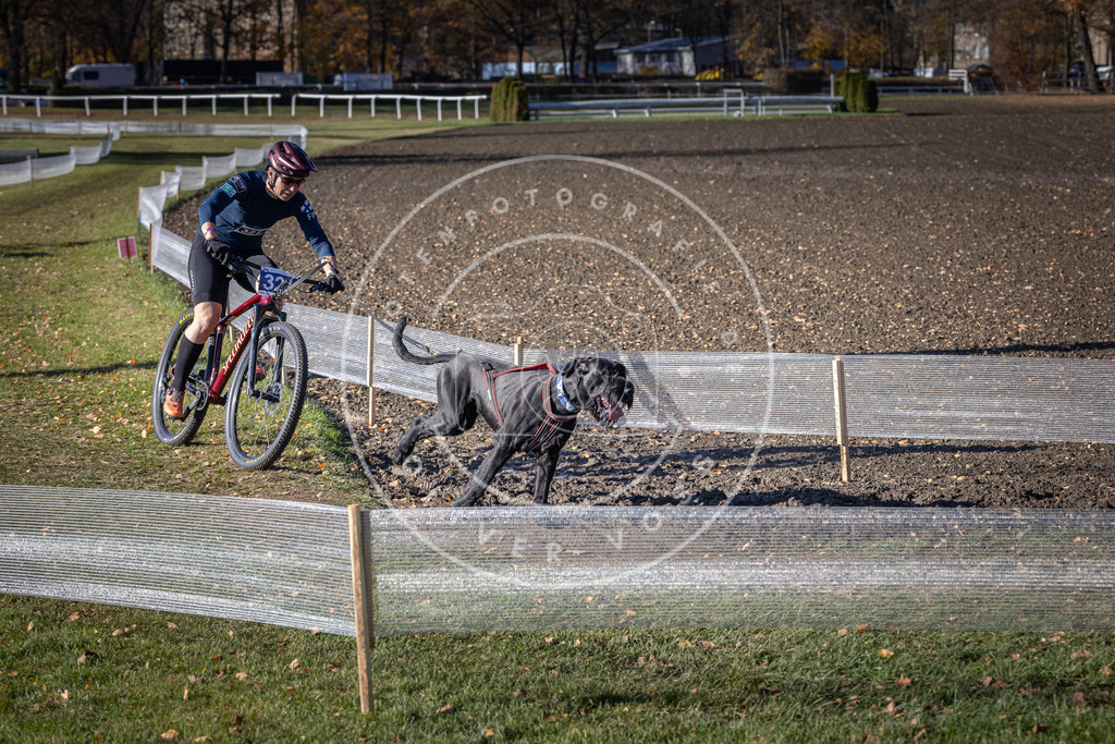 CaniXpix_DV3A6530 | Hundefotografie, Tierfotograf, Pfotenfotografie, Fotoshooting Hund, Hunde Portrait, Hundesport, Hundeportraits, Heideshooting, Hunde, Sportfotograf, Hundefotograf, Turnierhundsport, THS,  - Realisiert mit Pictrs.com