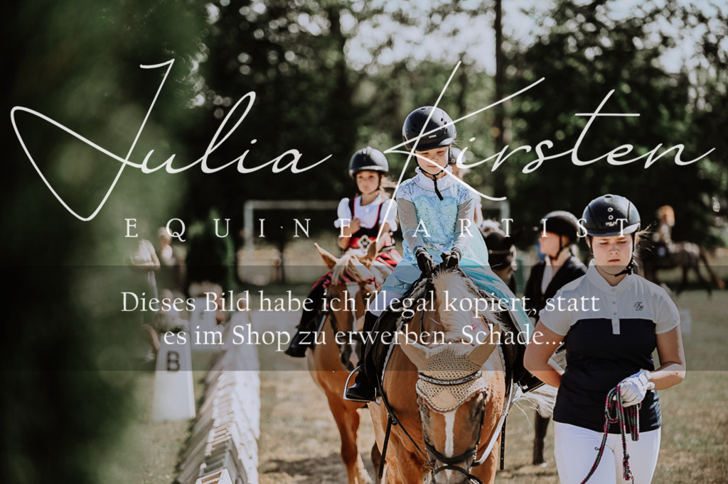 DSC_9005 | Pferde- und Turnierfotografie in Westsachsen. Pferdeportraits, Auftragszeichnungen und intuitive Kunst.