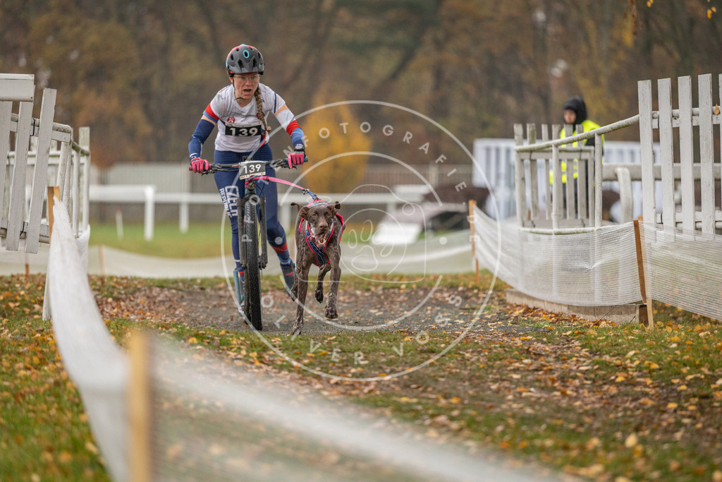 CaniXpix_DV3A7907 | Hundefotografie, Tierfotograf, Pfotenfotografie, Fotoshooting Hund, Hunde Portrait, Hundesport, Hundeportraits, Heideshooting, Hunde, Sportfotograf, Hundefotograf, Turnierhundsport, THS,  - Realisiert mit Pictrs.com