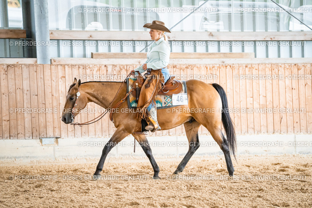 DSC00129 | Pferdegrafie